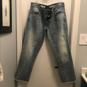 Anthropologie Pilcro and the Letterpress Jeans